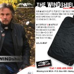 The Windshield | Link Ads | Missing Link